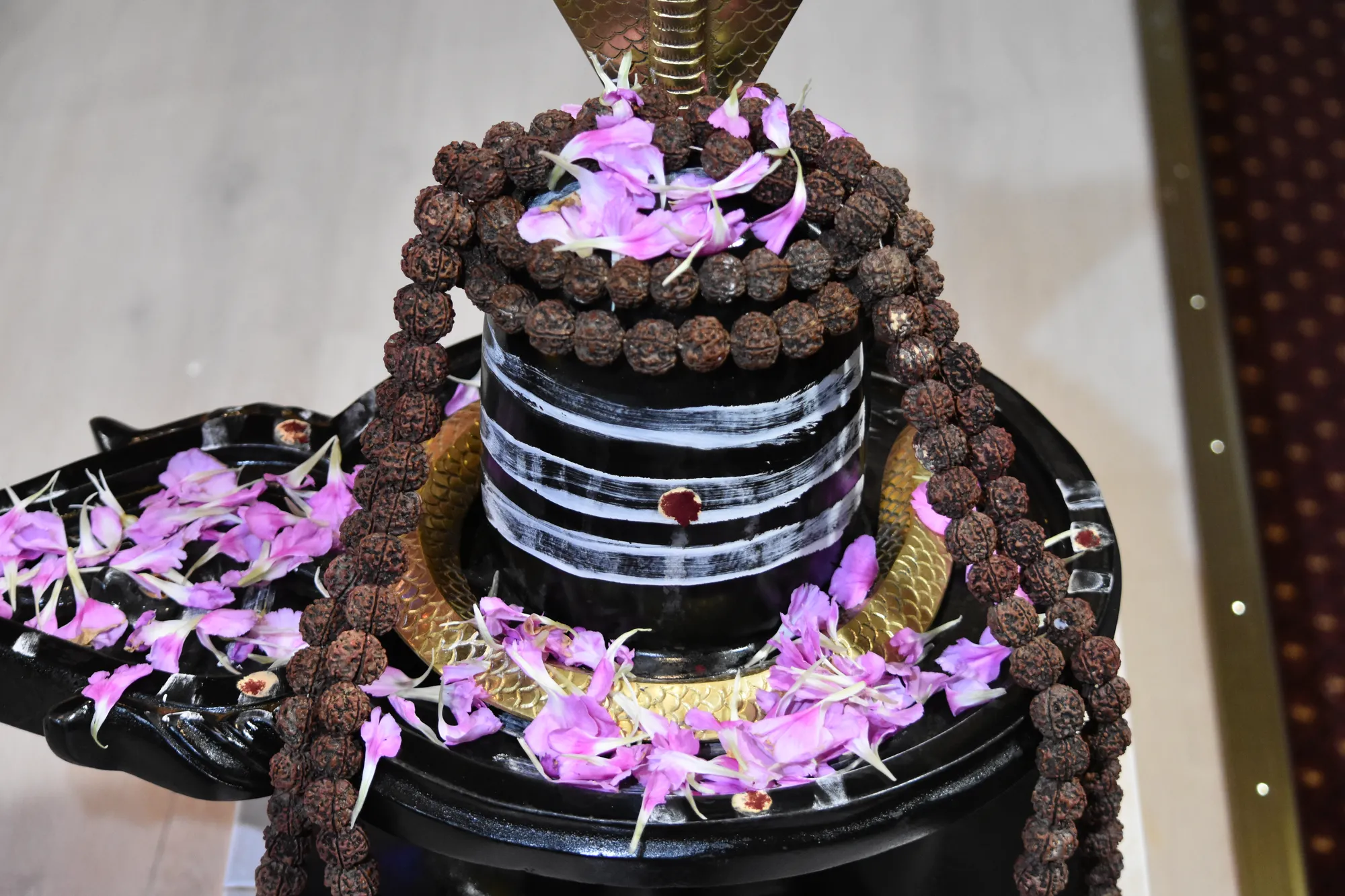 Vasant Panchmi 6
